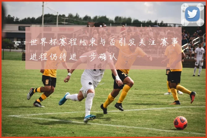 世界杯赛程结束与否引发关注 赛事进程仍待进一步确认