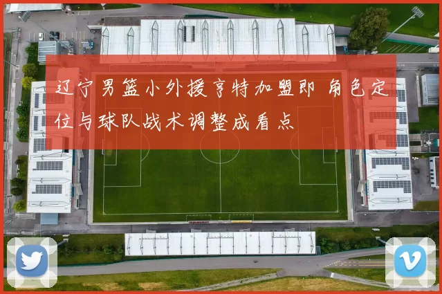 辽宁男篮小外援亨特加盟即 角色定位与球队战术调整成看点